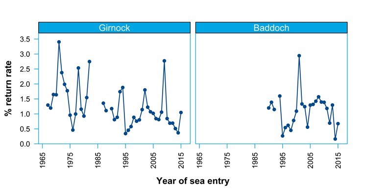 Percentage of juvenile emigrants (autumn parr and smolts) that return to the Girnock and Baddoch traps as adult females