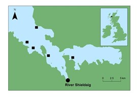 location of the field station at the mouth of the River Shieldaig