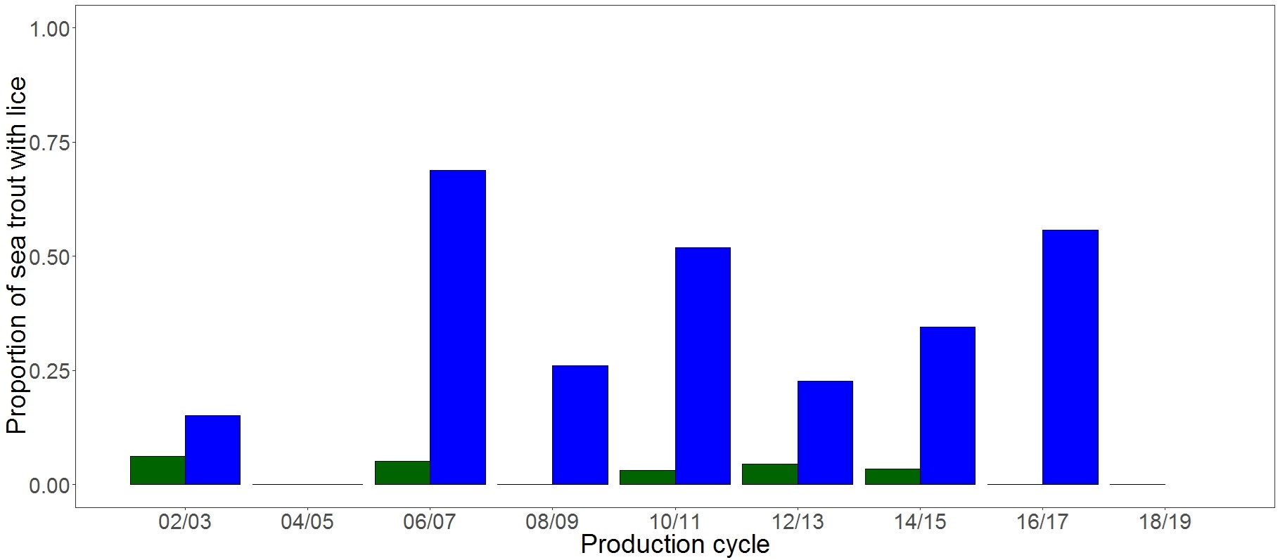 The proportion of trout sampled in the lower Shieldaig exhibiting lice burdens above the threshold level with respect to fish farm production cycle. Green bars are those in the first year of production, blue are in the second year.
