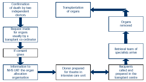 arrow chart