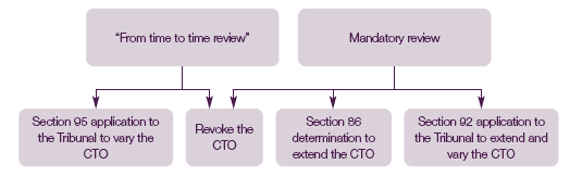 The possible outcomes of mandatory and "from time to time" reviews