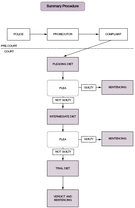 flowchart for Summary Procedure