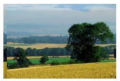 Arable farming at Carghill Pertshire