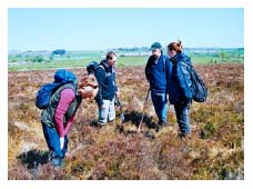 Flanders Moss