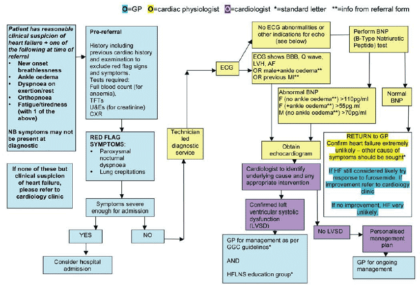 suspected new heart failure patient diagnostic pathway