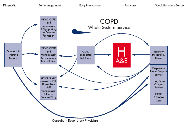 An example of an integrated care pathway from NHS Lanarkshire