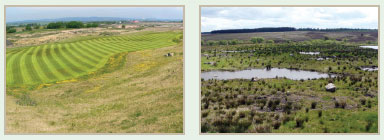 photo Ecosse Regeneration Ltd
