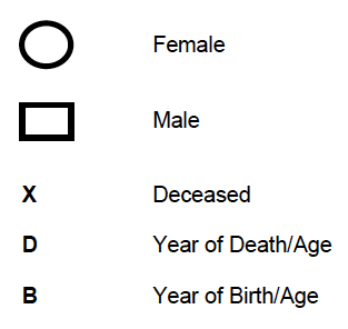 GENOGRAM KEY 