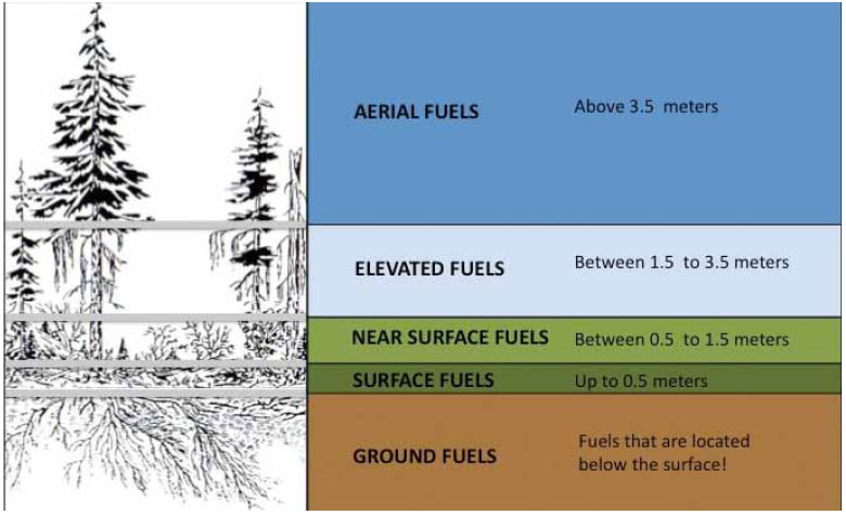  Fig B1.2 A diagram of the vertical fuel arrangement