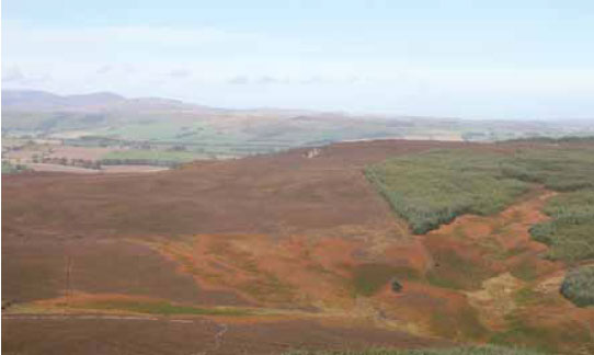 Photo B1.5 Heather moorland and coniferous woodland