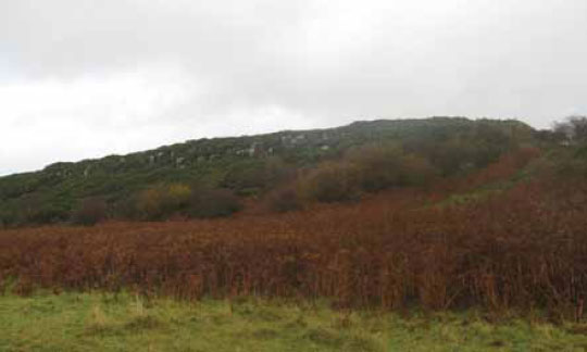  Photo B1.14 An area of scrub containing bracken and gorse