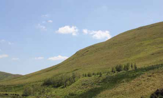 Photo B3.6 The feature shown in the photograph has all three types of slope in evidence