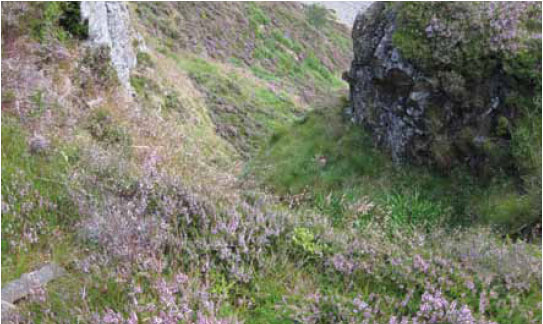 Photo B3.12 Steep-sided gully