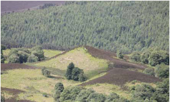 Photo B3.14 Changes in the direction a slope faces can influence fuel arrangement and continuity