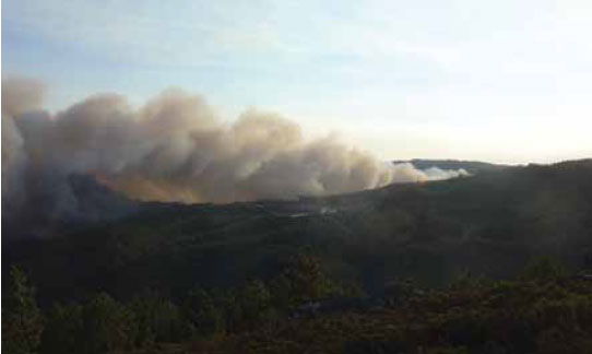 Photo B5.2 A fire being supported by wind
