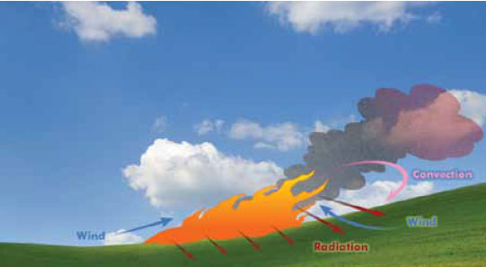 Fig. B5.9 Showing the effect of slope on fire behaviour