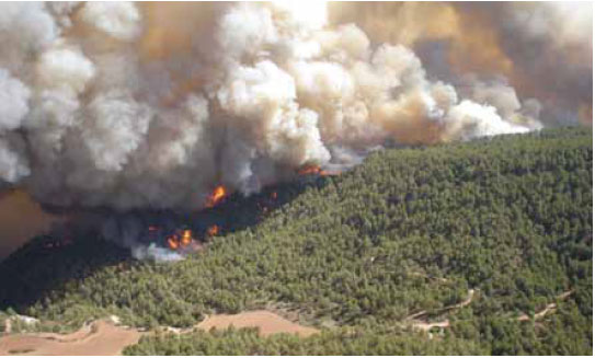 Photo B5.7 Showing short-range spotting behaviour and the dangers that this may present to firefighters on the ground