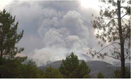 Photo B5.14 A convection-driven fire