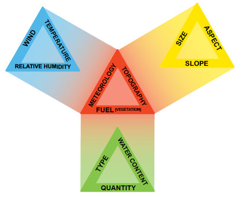 Fig. B6.1 The wildfire environment is dominated by fuel, weather and topography