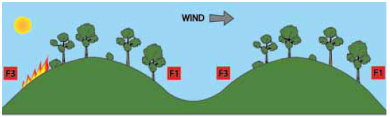 Fig. B6.8 The fire has lost the support of slope and aspect resulting in a reduction in alignment and fire behaviour