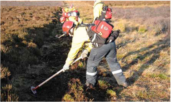 Photo B8.4 Showing each digger working a separate block