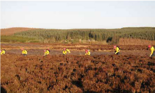 Photo B8.5 Showing diggers maintaining a safe distance apart whilst clearing a single strip from each block