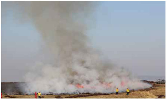 Photo B8.15 A plot being burnt out using the centre burn technique