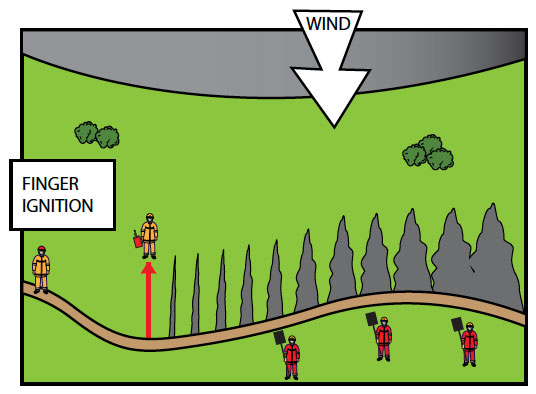 Fig. B8.13 Fingers of fire that cannot develop a head as the control line acts as a barrier, the fires are only able to develop along their flanks