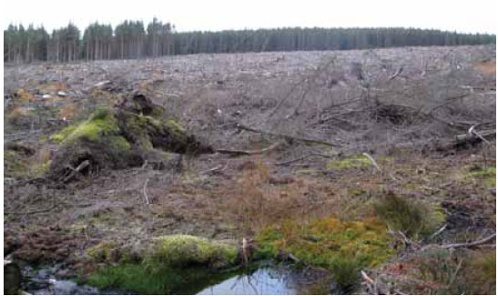 Photo B10.3 An area of slash following block harvesting showing the difficult terrain that personnel may need to traverse