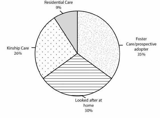 pie chart