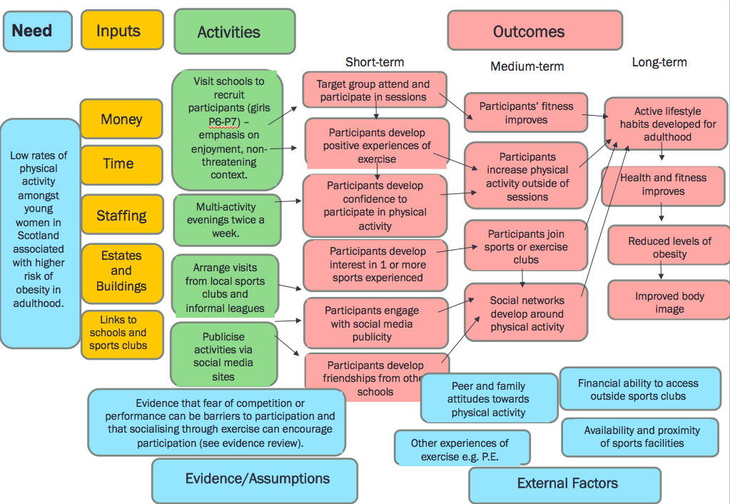 A project level logic model