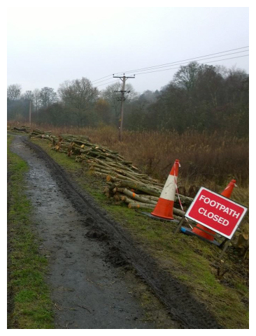 Selkirk FPS - Tree clearance Selkirk FPS - Tree clearance