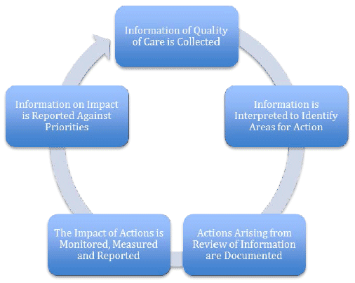 Five Key Principles of Clinical and Care Governance