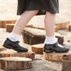 wood stepping stones 2