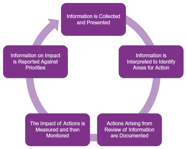 Improvement Focused Governance Cycle