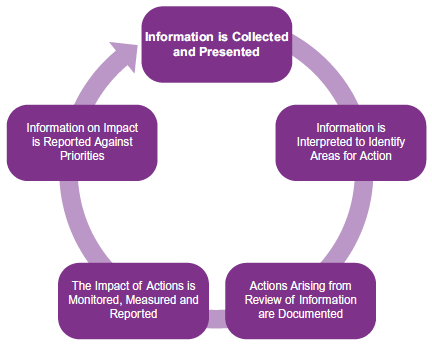 Improvement Focused Governance Cycle