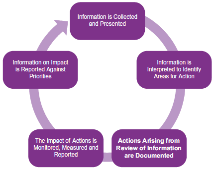 Improvement Focused Governance Cycle