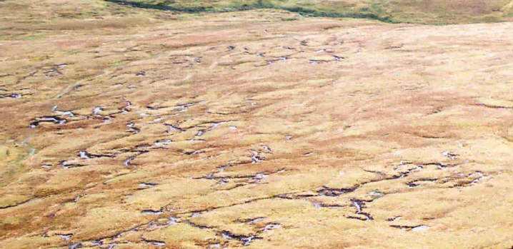 Plate 2.11 Gullies, and pools and hummocks Plate 2.11 Gullies, and pools and hummocks