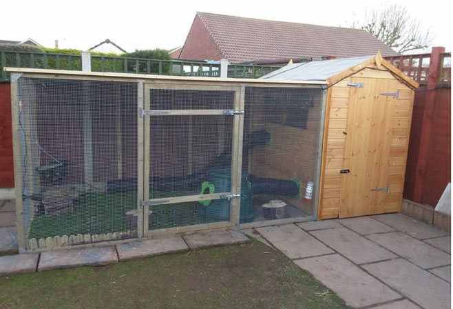 Rabbit living shelter