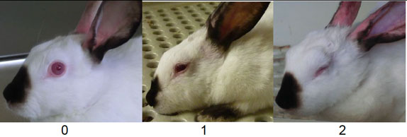 Image showing various examples of orbital tightening Image showing various examples of orbital tightening