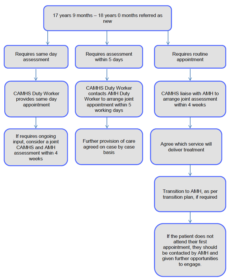 Transition Pathway (New Referrals)