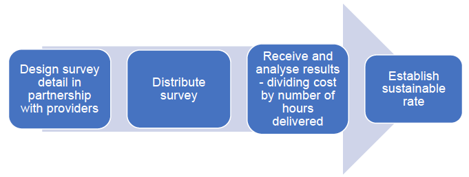 Figure 1: Overview of process – Survey (Costs) Figure 1: Overview of process – Survey (Costs)
