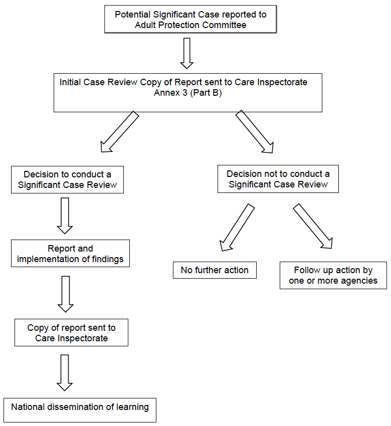 Figure 1 - Overview of the case review process Figure 1 - Overview of the case review process