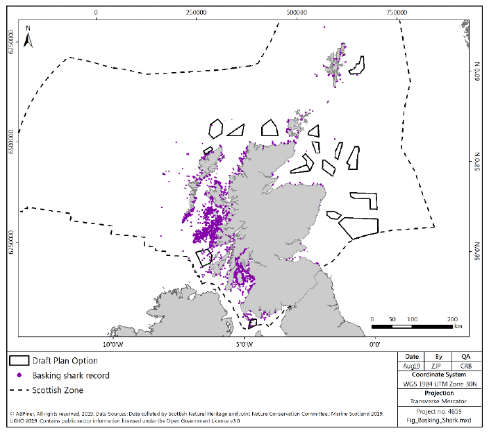 Figure 43 Basking shark distribution in Scottish waters Figure 43 Basking shark distribution in Scottish waters