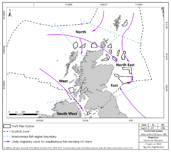 Figure 44 Anadromous fish expected migration pathways Figure 44 Anadromous fish expected migration pathways