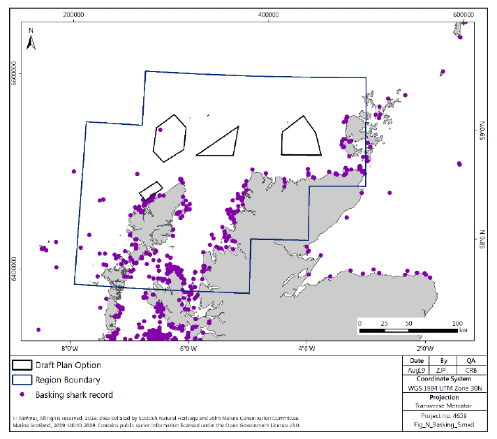 Figure 177 North region: basking shark sightings distribution Figure 177 North region: basking shark sightings distribution
