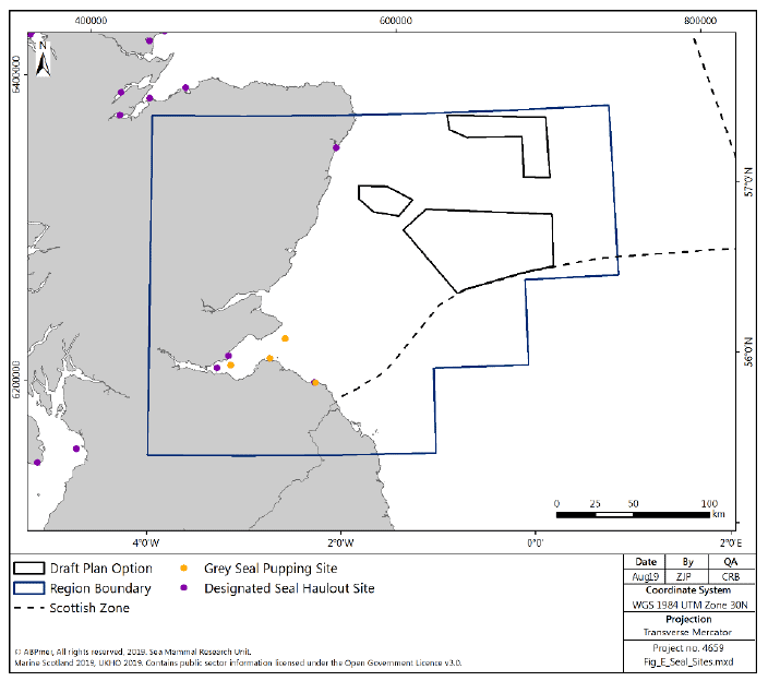 Figure 263 East region: seal haulout sites and grey seal pupping sites Figure 263 East region: seal haulout sites and grey seal pupping sites