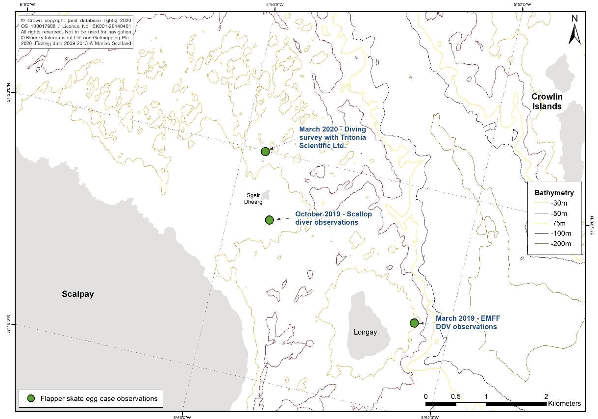 A map shows three survey areas where flapper skate eggs have been identified within the Inner Sound.