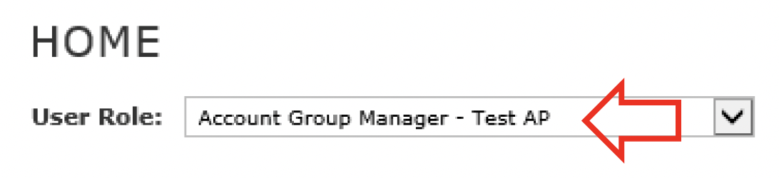 ‘ RBS Smart Data Online account Homepage user role option‘