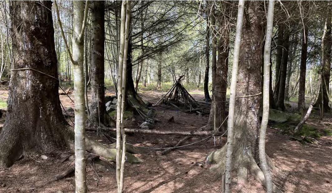Woodland nursery with den built from fallen branches.
